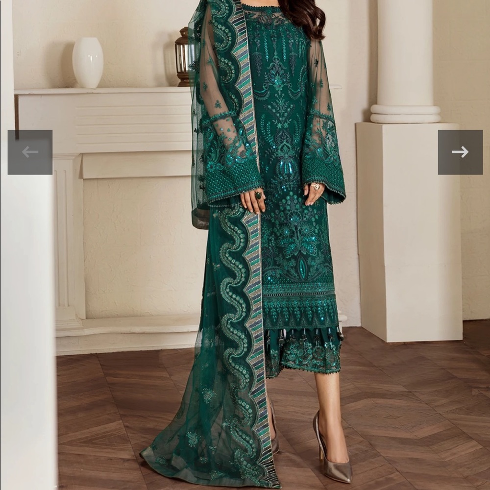 Custome made designer pakistani 3 piece net dress